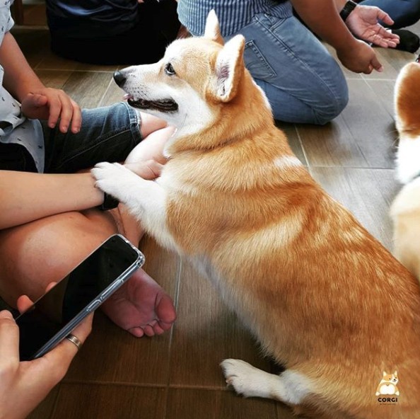 螢幕快照 2019-05-09 下午4.06.22