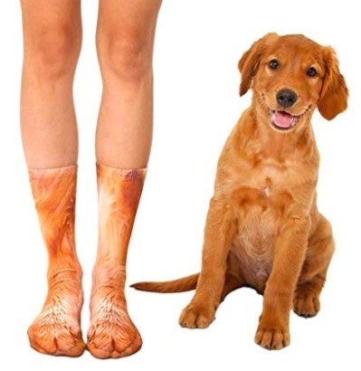 螢幕快照-2019-05-17-下午1.50.32