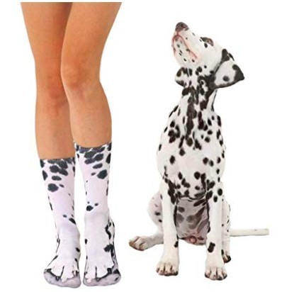 螢幕快照-2019-05-17-下午1.50.40