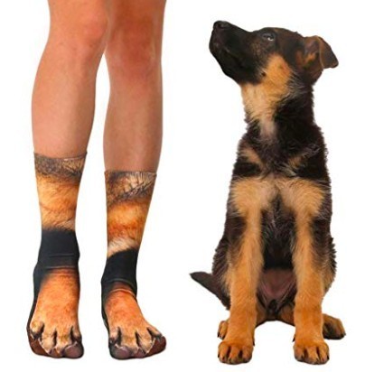 螢幕快照-2019-05-17-下午1.50.48