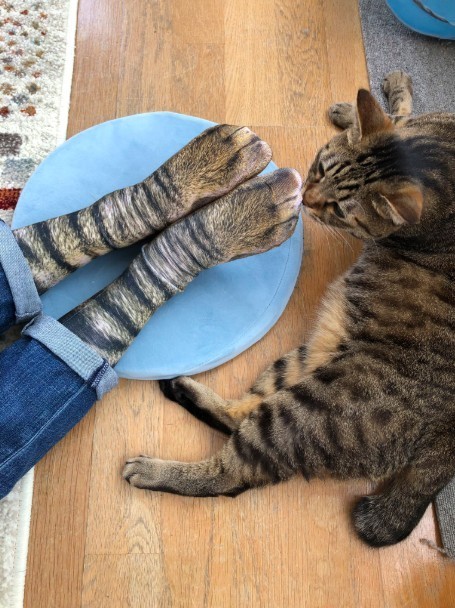 螢幕快照-2019-05-17-下午12.44.07