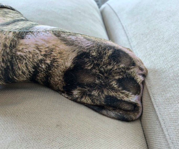 螢幕快照-2019-05-17-下午12.44.27