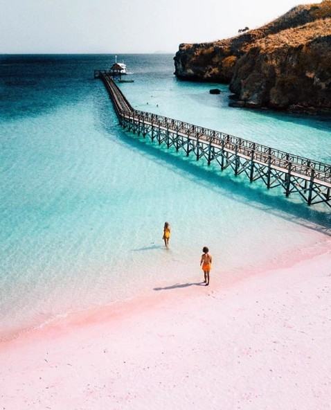 螢幕快照 2019-05-20 上午11.52.21