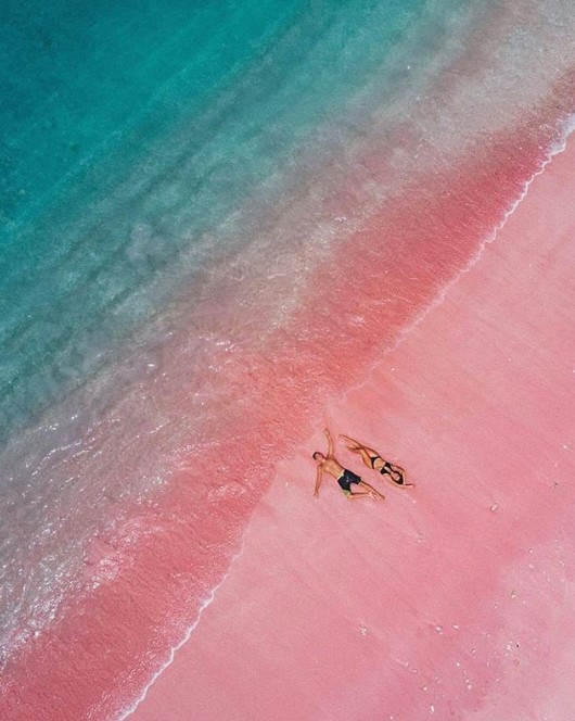 螢幕快照 2019-05-20 上午11.53.18