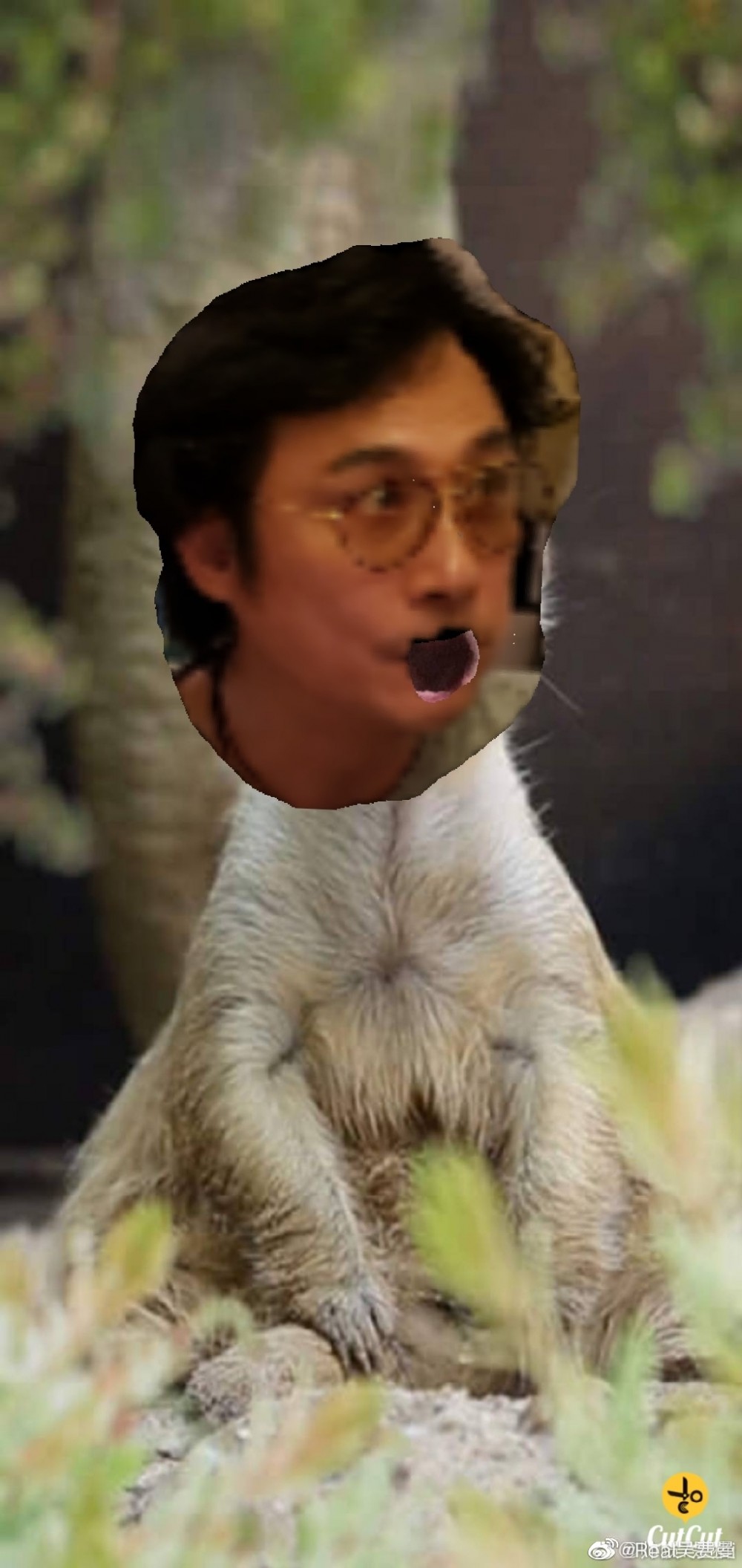 0066JDWcgy1g3g5exaa6tj30u01rc16b