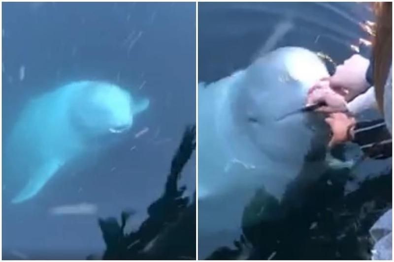 031def6c5e570409a849eb4f304eb1f4