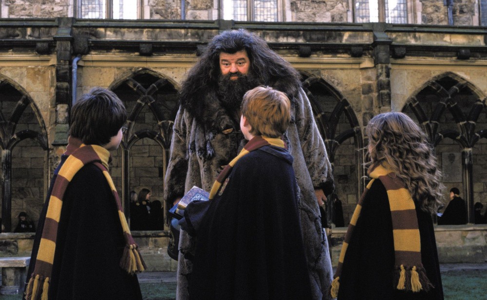 1463058608-hagrid-2