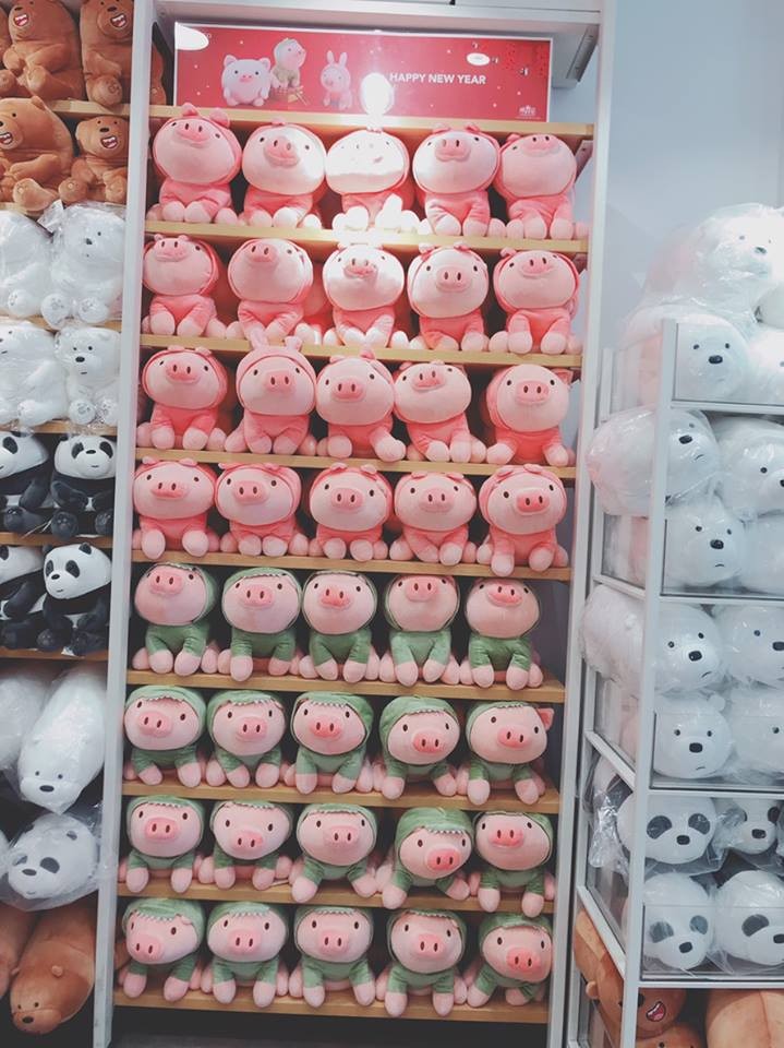 50268555_819213705087791_8759068342532177920_n