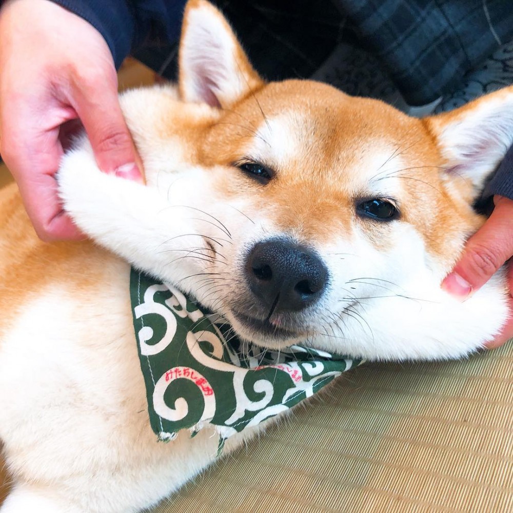 51662337_2055675247883203_2643373681215349119_n