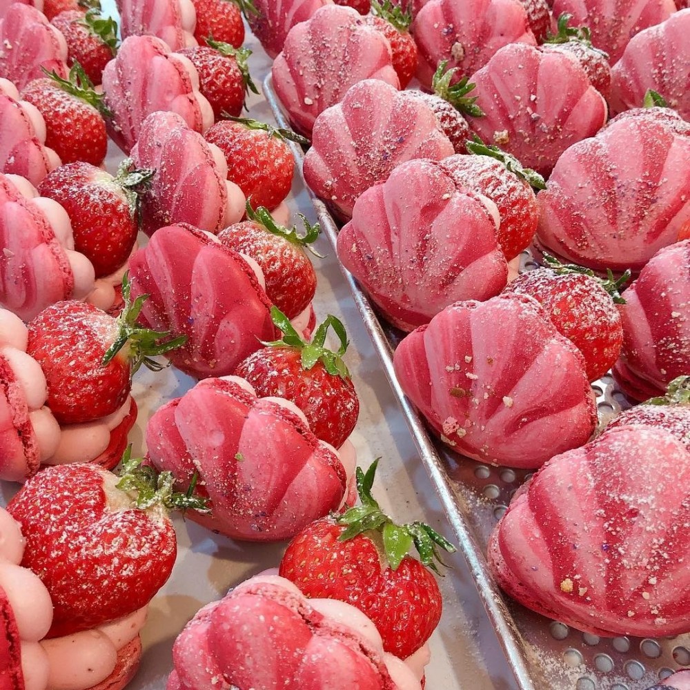 56862454_2152247464859439_6261103870223673080_n (2)