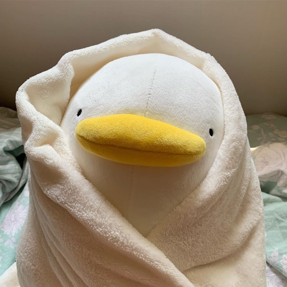 59637867_2438235879744556_2938916663499539670_n