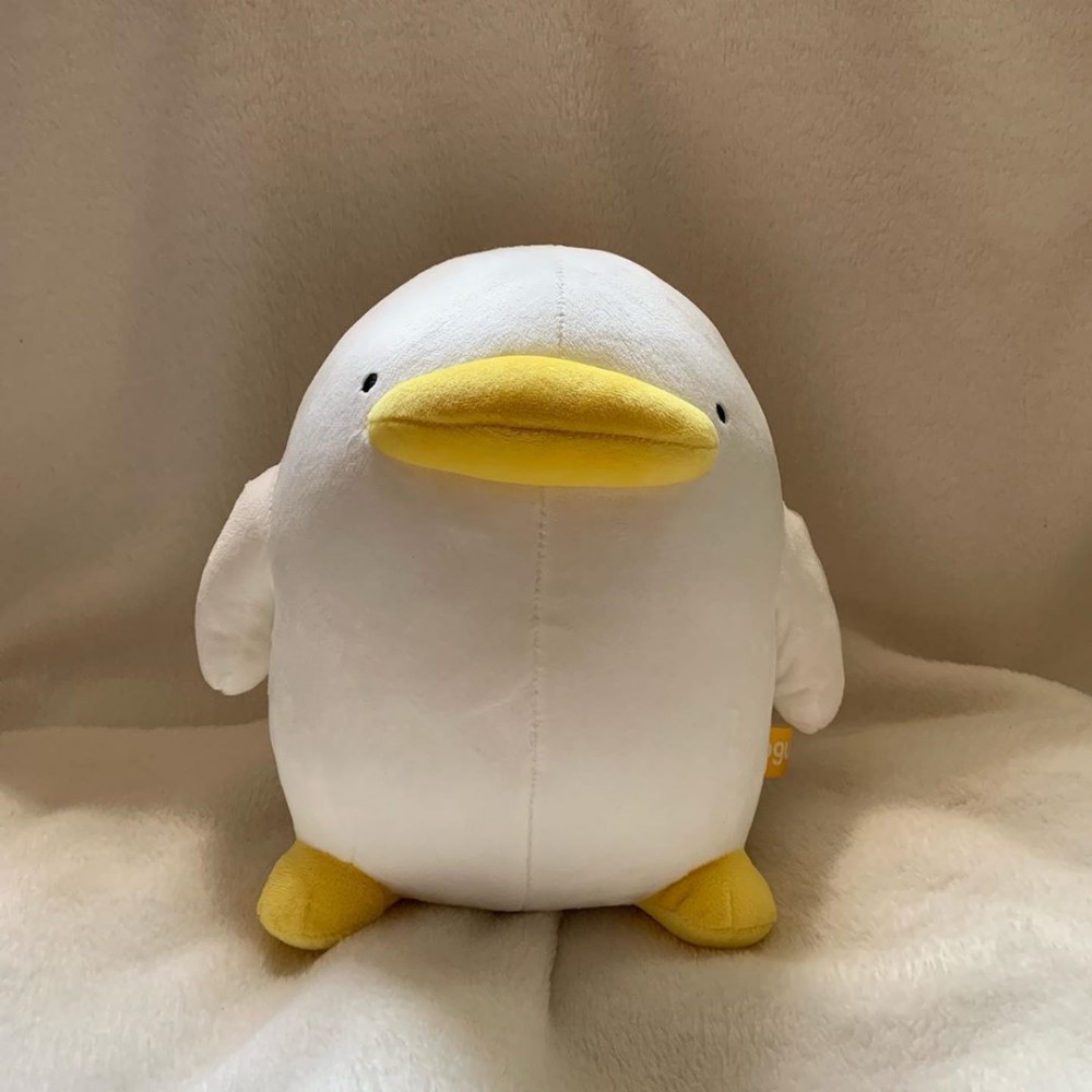 60946766_138029863971072_6590145836249454005_n