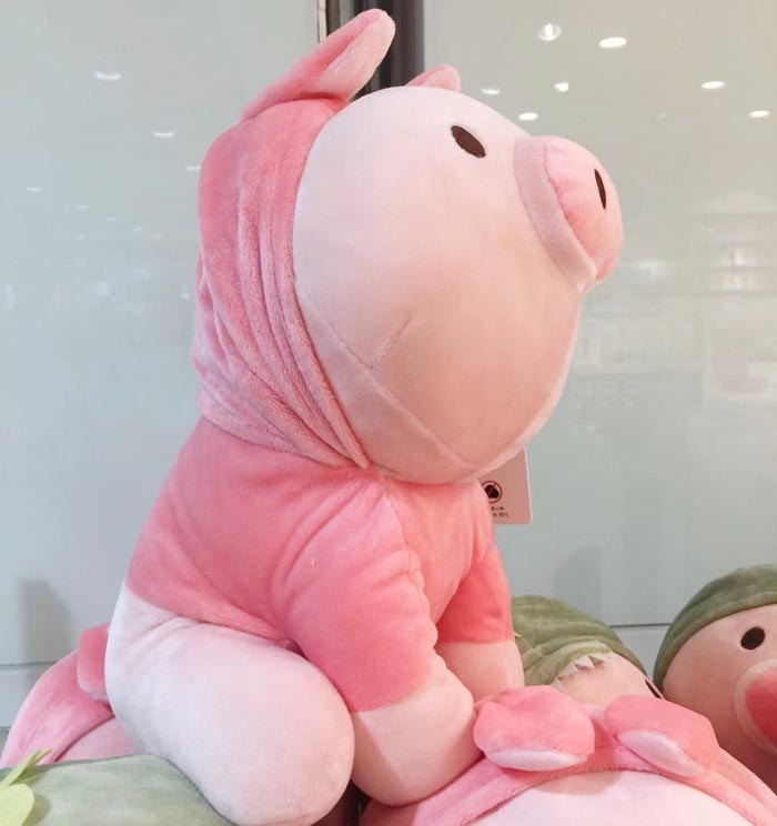 O1CN01y0T27D23Rv9D0dtLT_!!652407253