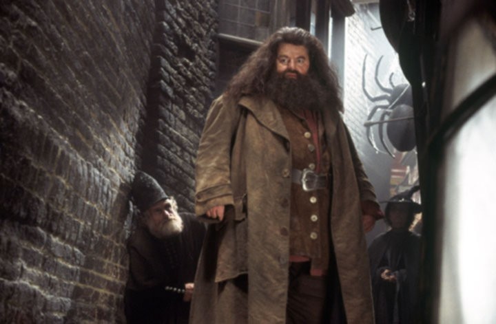RubeusHagrid_WB_F2_HagridInKnockturnAlley_Still_100615_Land