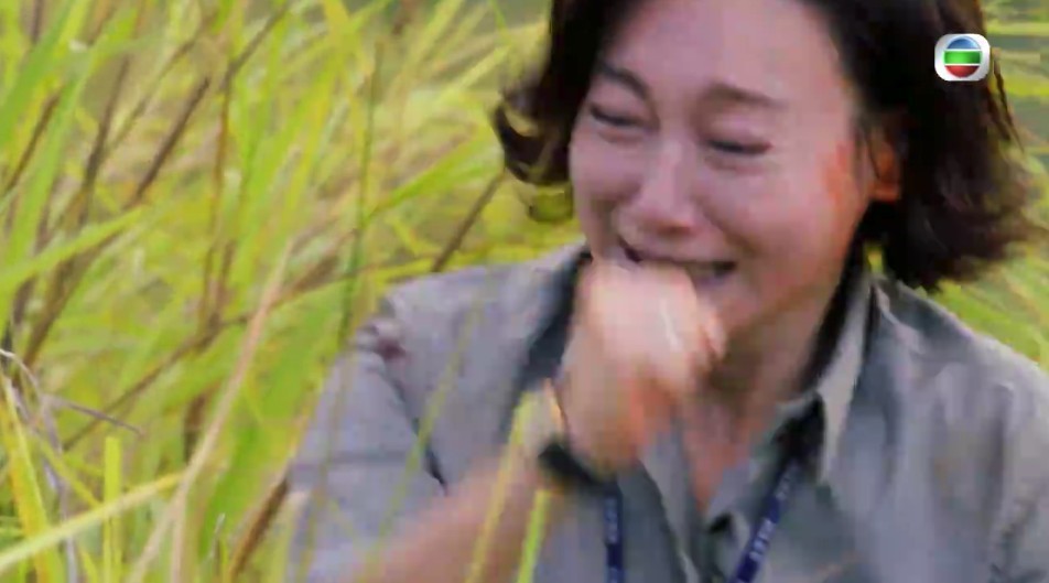 Screen Shot 2019-05-06 at 12.15.38 PM