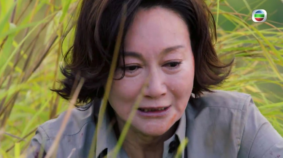 Screen Shot 2019-05-06 at 12.16.53 PM