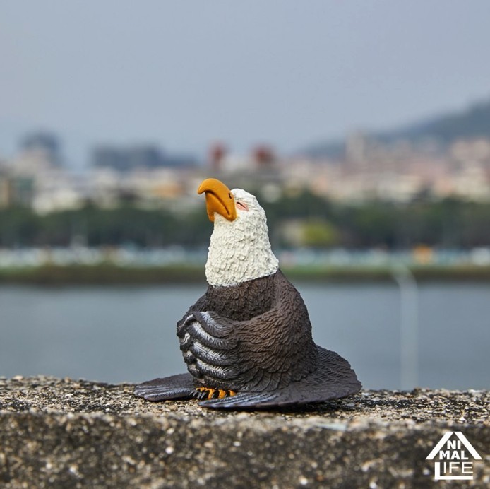 Screen Shot 2019-05-09 at 11.25.43 AM