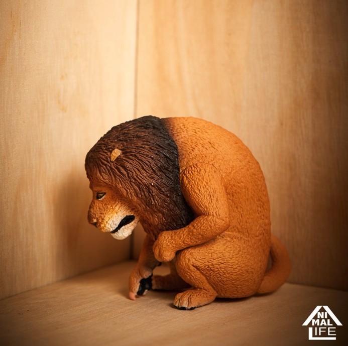 Screen Shot 2019-05-09 at 11.25.51 AM