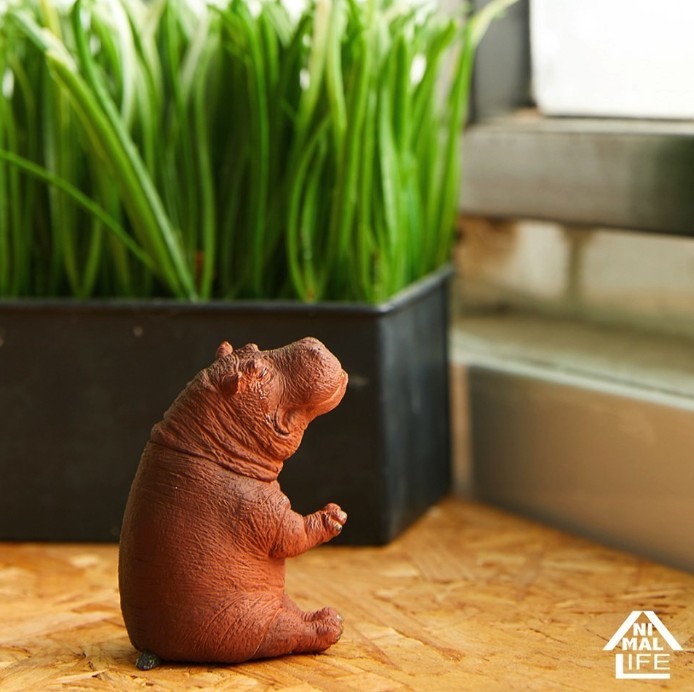 Screen Shot 2019-05-09 at 11.26.05 AM