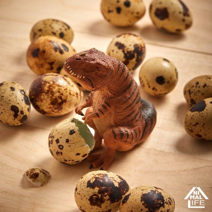 Screen Shot 2019-05-09 at 11.27.40 AM