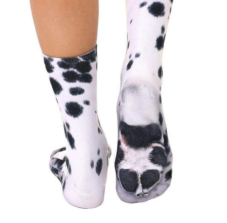 Screen Shot 2019-05-20 at 11.25.32 AM