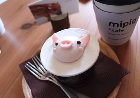 迷你豬Cafe食物