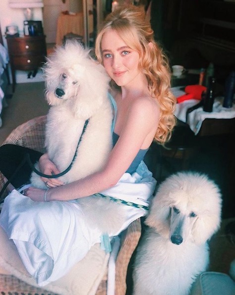 Screen Shot 2019-05-23 at 4.13.45 PM