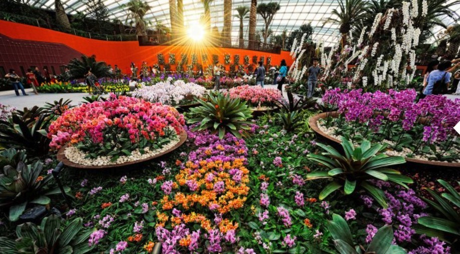 Screen Shot 2019-05-23 at 5.16.35 PM