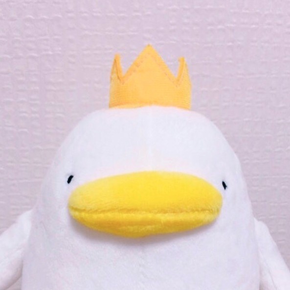 Screen Shot 2019-05-24 at 5.02.39 PM