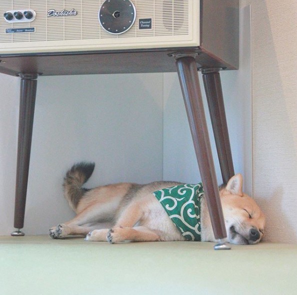 Screen Shot 2019-05-31 at 11.53.19 AM