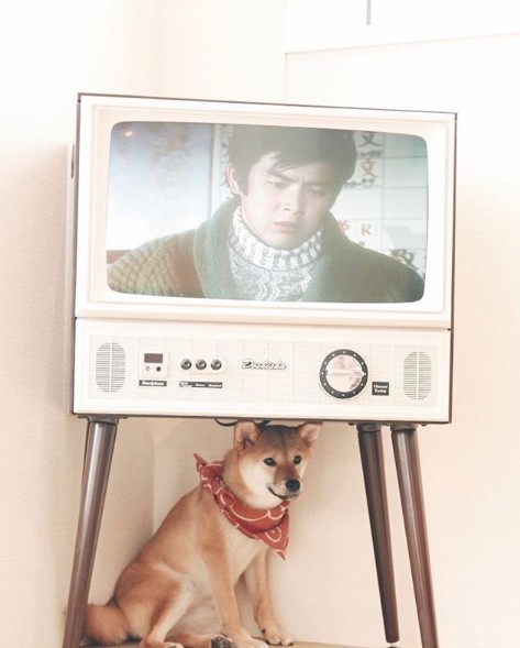 Screen Shot 2019-05-31 at 12.10.50 PM