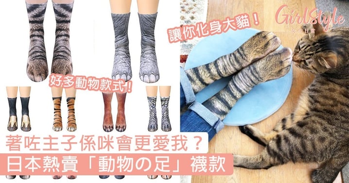 著咗主子係咪會更愛我？日本熱賣「動物の足」襪款，化身貓咪狗仔甚至老虎大象！