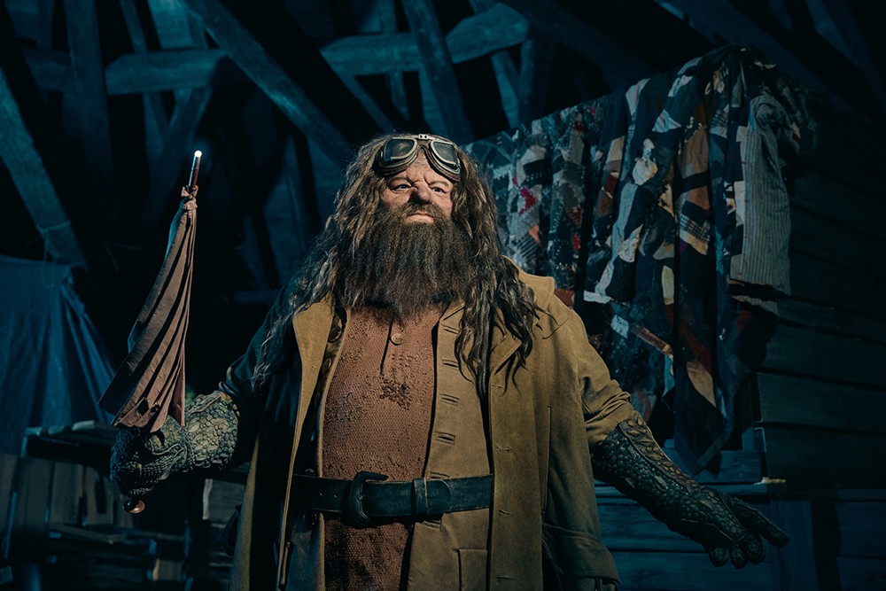 figure_hagrid01
