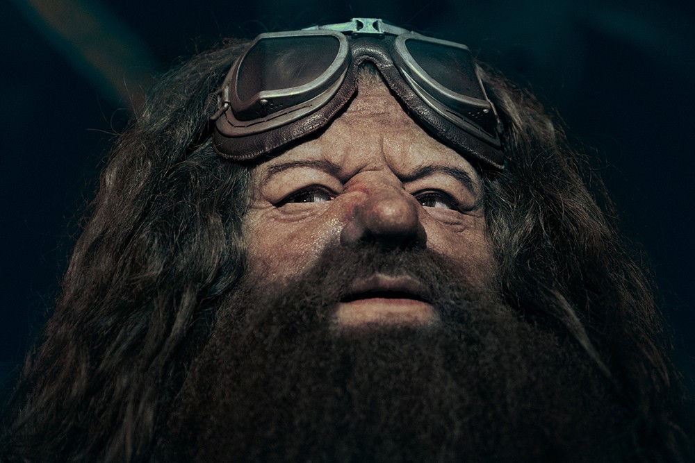 figure_hagrid02