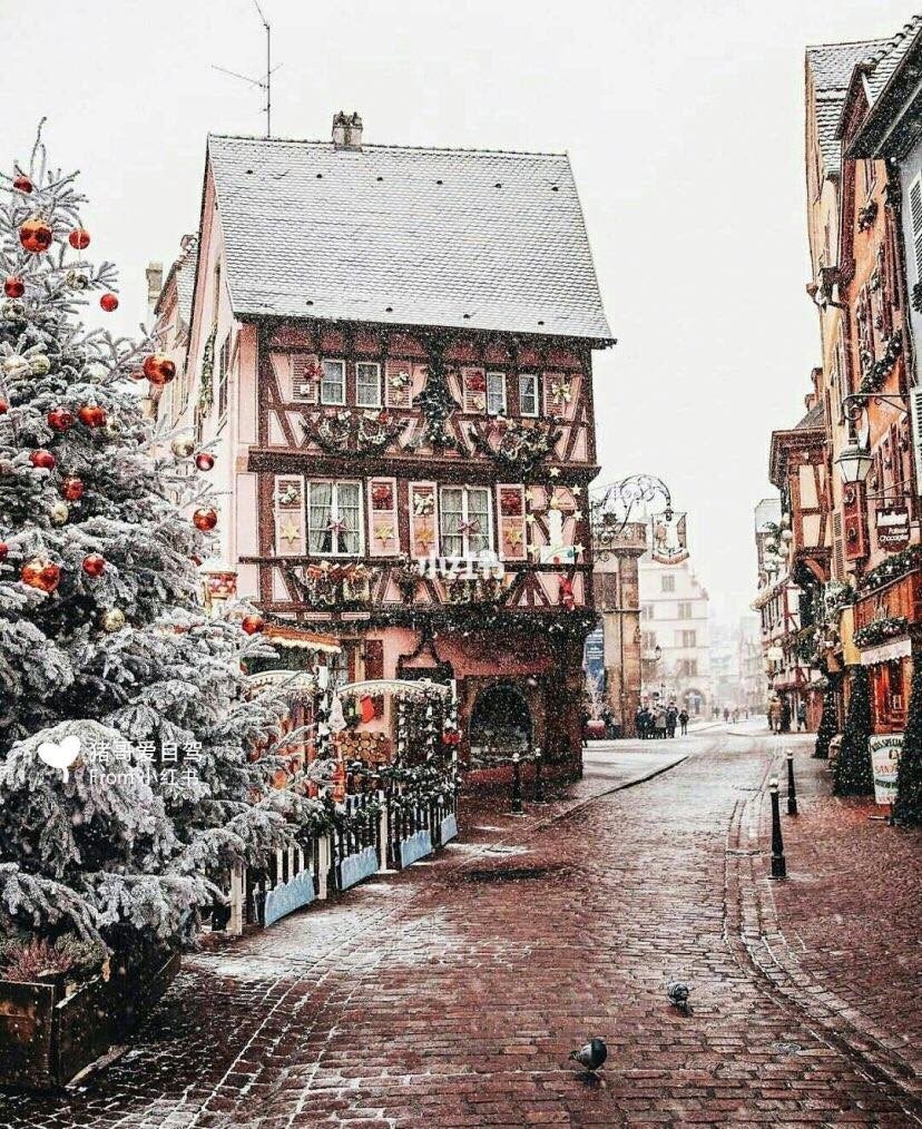 48218130_2077374132308894_5667682300280700928_n