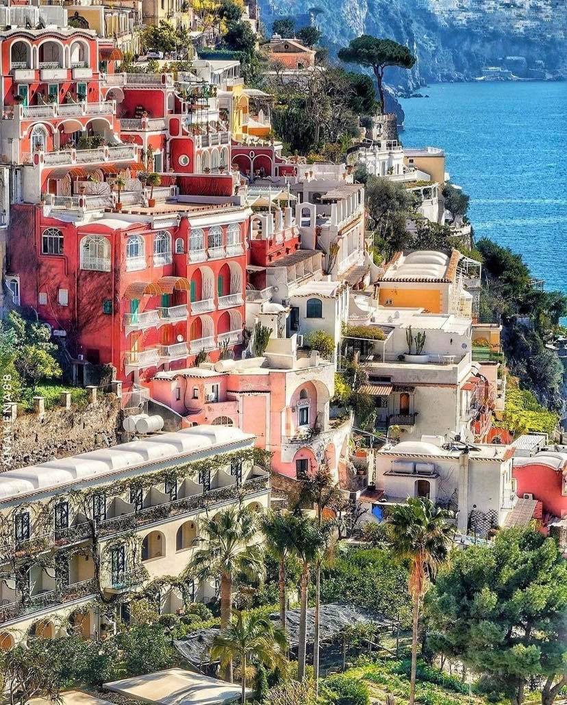 61798955_371632060132906_4503868775791067136_n