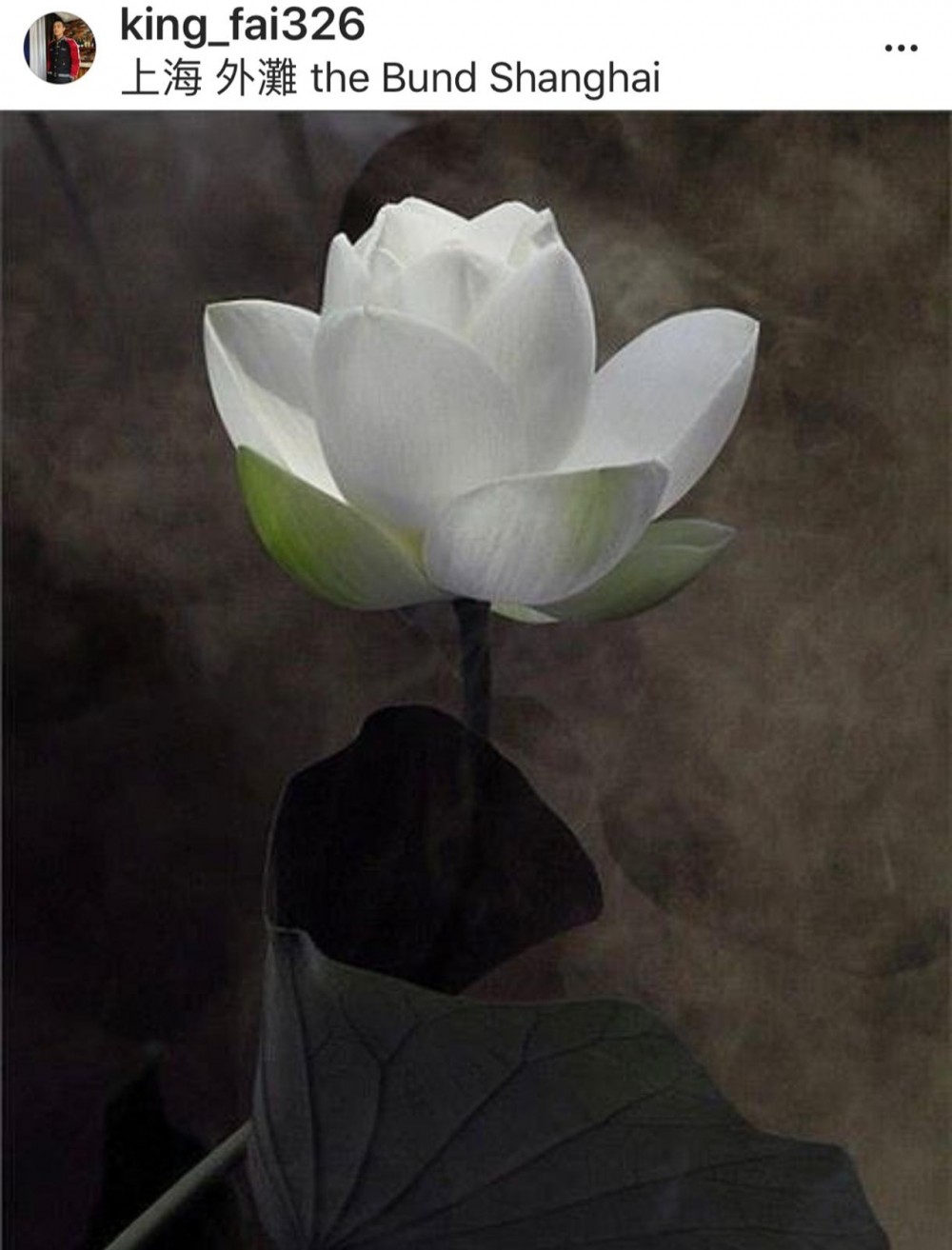 B3X_VhhxlYkH3LcgsMAvtUCjFK-gmqzxNKP4STSj-Ek