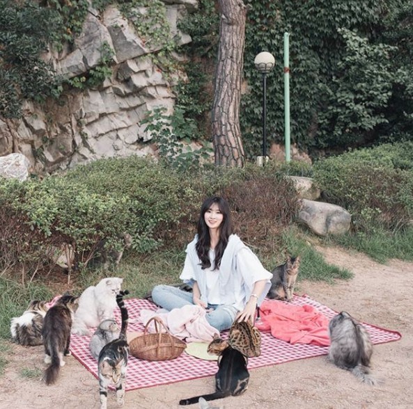 Screen Shot 2019-06-14 at 6.07.11 PM