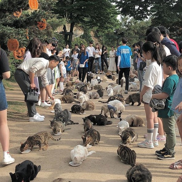 Screen Shot 2019-06-14 at 6.22.21 PM