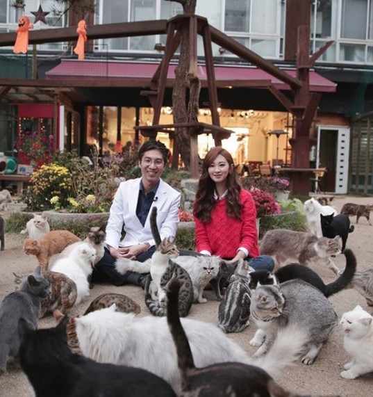 Screen Shot 2019-06-14 at 6.24.37 PM