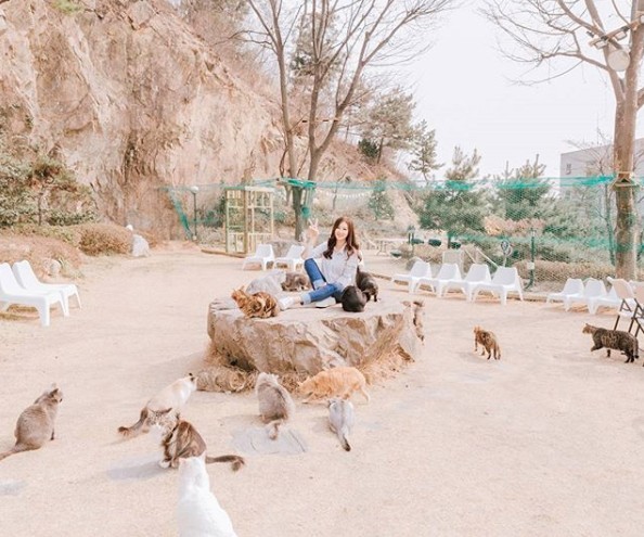 Screen Shot 2019-06-14 at 6.29.39 PM