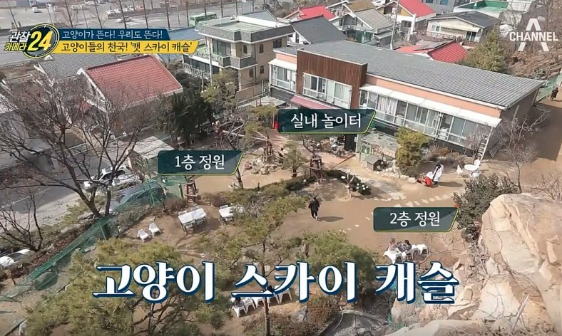 Screen Shot 2019-06-14 at 6.35.35 PM