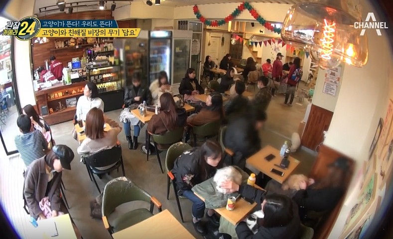 Screen Shot 2019-06-14 at 6.35.45 PM