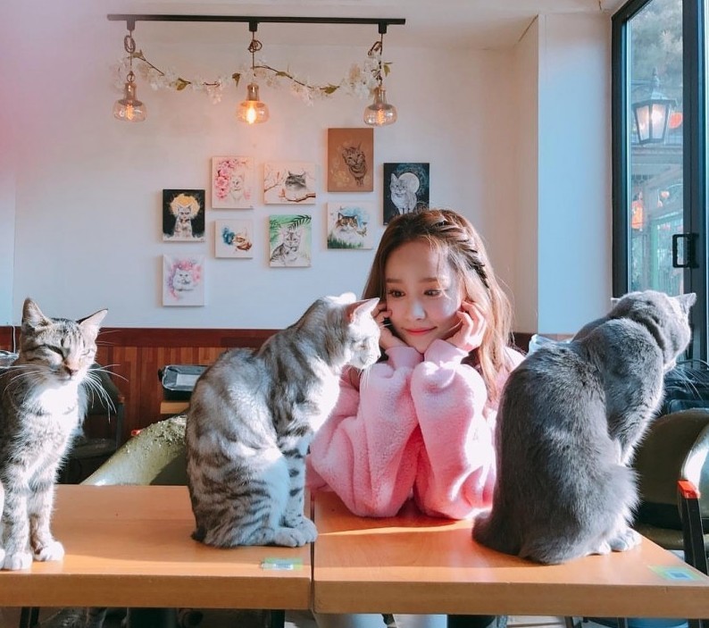 Screen Shot 2019-06-14 at 6.36.10 PM