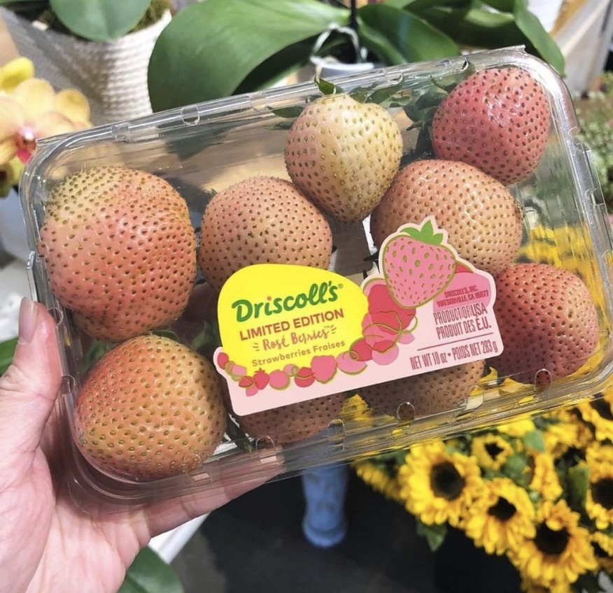 Screen Shot 2019-06-26 at 4.28.34 PM