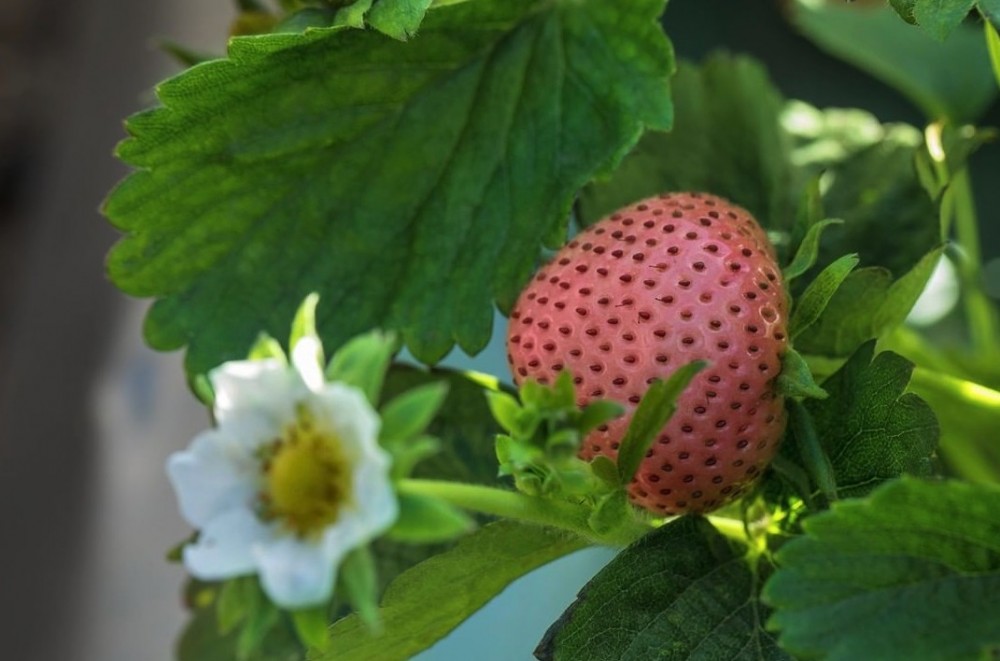 Screen Shot 2019-06-26 at 4.29.29 PM