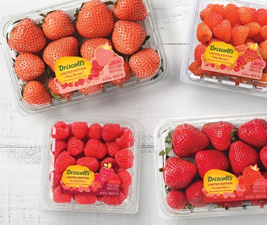 Screen Shot 2019-06-26 at 4.31.05 PM