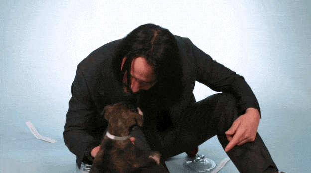 anigif_sub-buzz-12917-1558094843-7