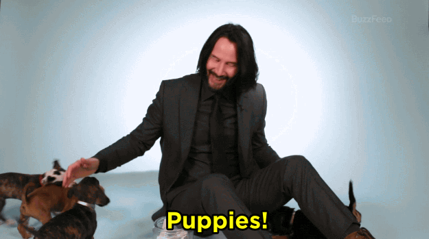 anigif_sub-buzz-2787-1558095249-1