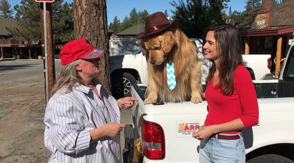 idyllwild-mayor-max-ii-01-abc-jc-190607_hpEmbed_9x5_992